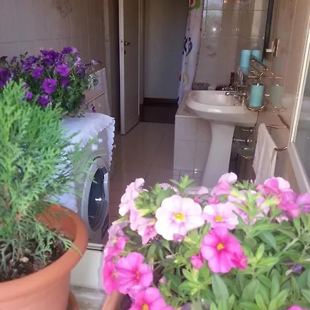 Your Nest In Trastevere Rome