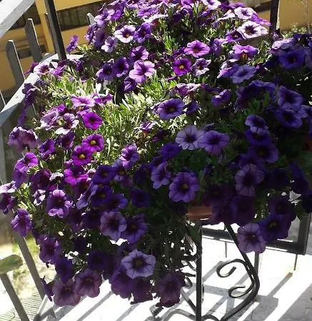 Apartment Your Nest In Trastevere *