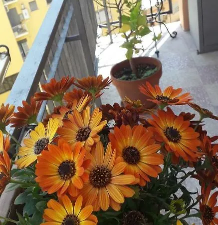 Your Nest In Trastevere Rome